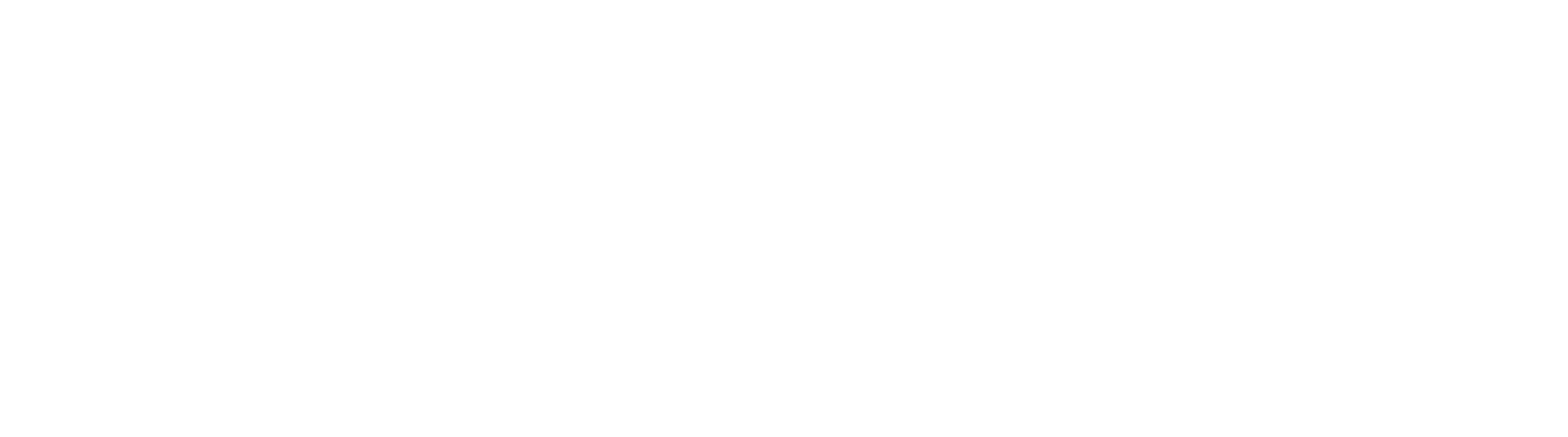 Petru Mihaluta Realtor logo white